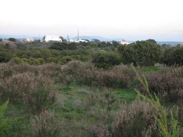 Pata Village Albufeira