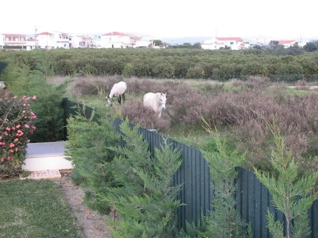 Apartmán Pata Village Albufeira